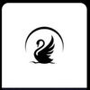 blackswanpsy
